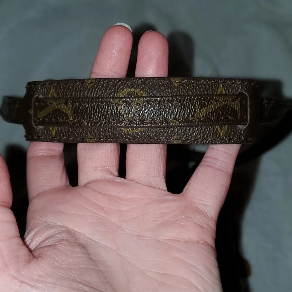 Louis Vuitton Monogram Crossbody Purse